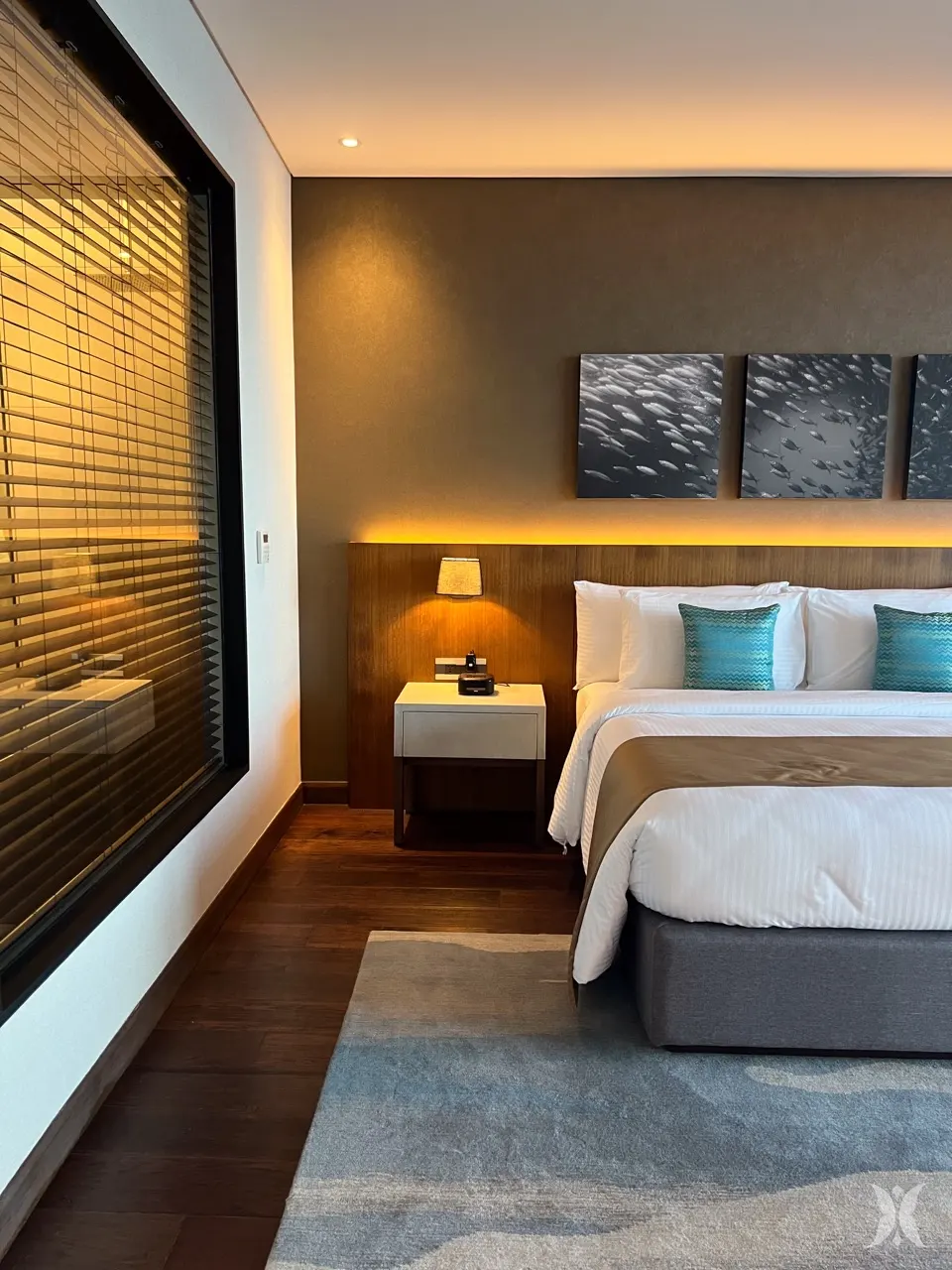 Guest rooms at the Reef 6